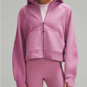 Rare NWT M/L Lululemon Scuba Oversized Full-Zip Hoodie
Velvet Dust